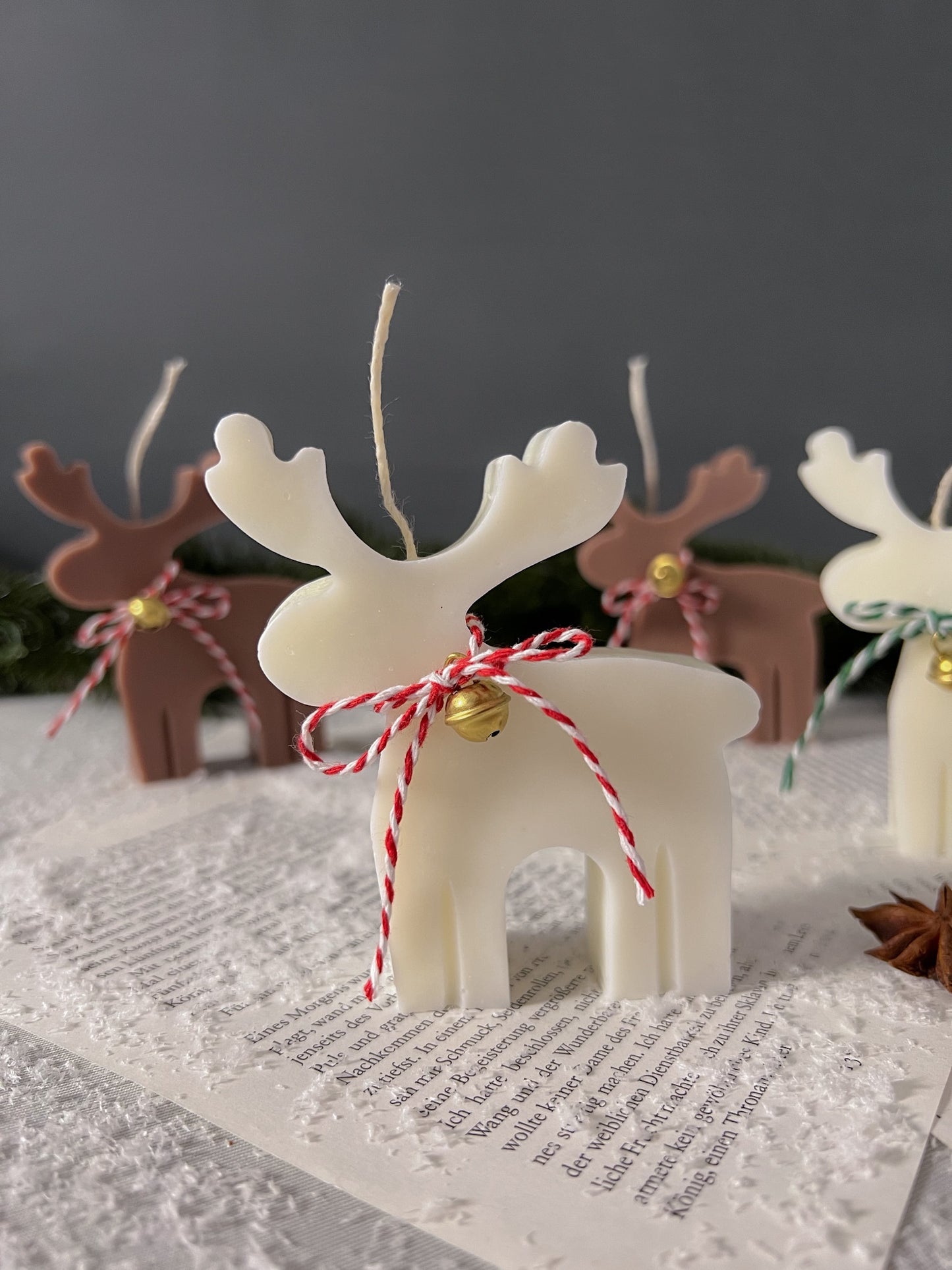 Reindeer